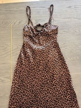 Zara Leopard-Print Satin Slip Dress in Brown and Black